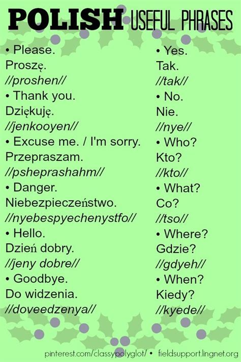 Polish slang phrases